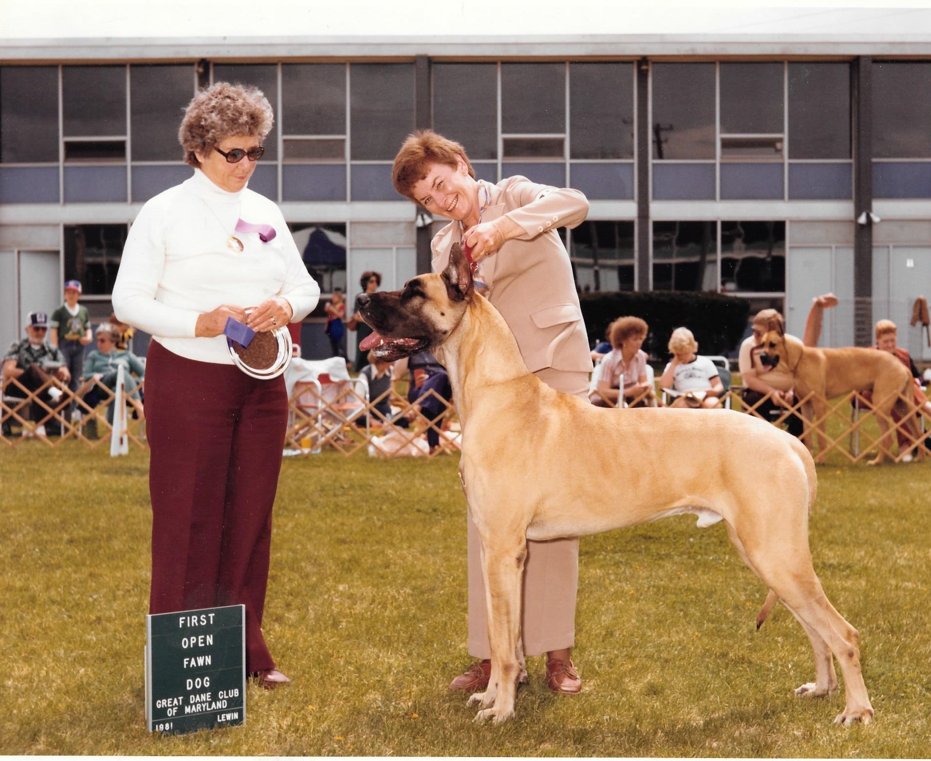 GDCMaryland 1st Open Fawn