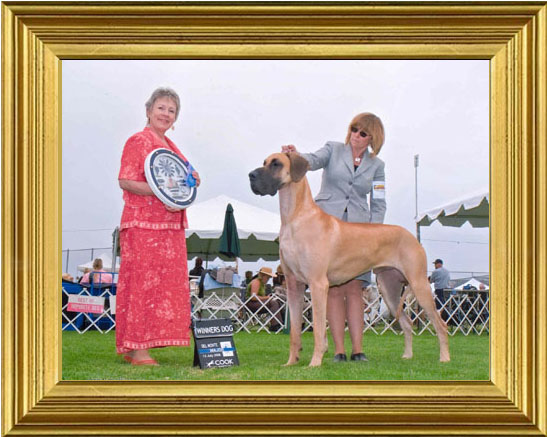 Basil wins his first major