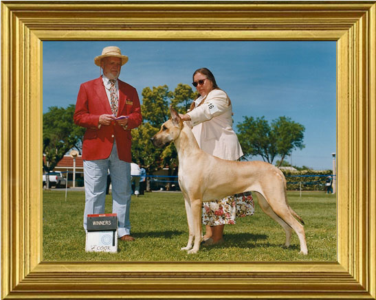 Cody wins her first major