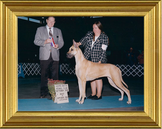 Cody winning in Idaho again