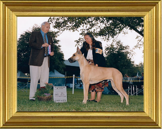 Cody winning in California