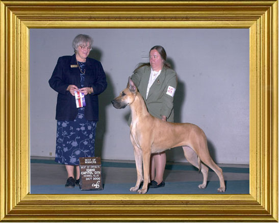 Cody winning in Idaho