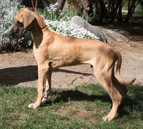 Dugan at 5 months