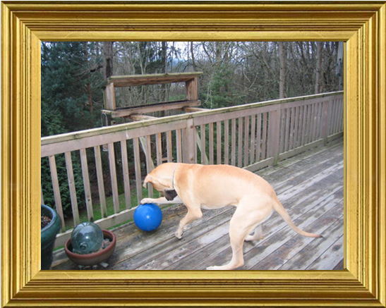 K'uychi with her indestructible ball