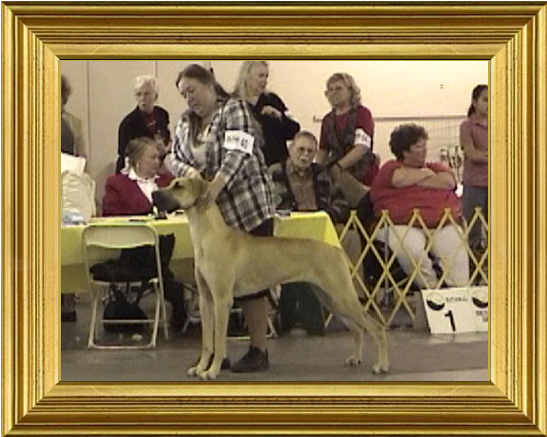 Sara wins the puppy class