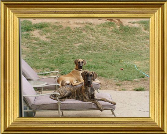 Taurie and Ellie on the patio