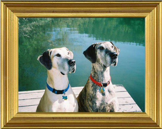 Taurie and Ellie at the river